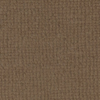 Solid Stretch Cotton Polyester Velour B018301