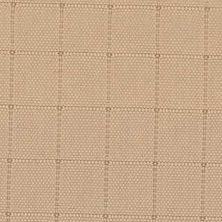 Solid Crinkled DWR Nylon Ripstop Taslan B020403