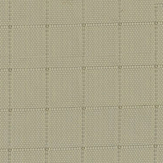 Solid Crinkled DWR Nylon Ripstop Taslan B020403