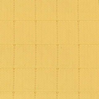 Solid Crinkled DWR Nylon Ripstop Taslan B020403