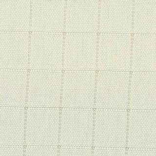 Solid Crinkled DWR Nylon Ripstop Taslan B020403