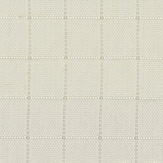 Solid Crinkled DWR Nylon Ripstop Taslan B020403