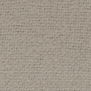 Solid Front Peached Cotton Flannel B024402