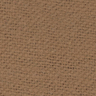 Solid Front Peached Cotton Flannel B024402