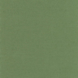 Made in Korea GOTS Certified Solid Organic Cotton Plain Woven DS215R1