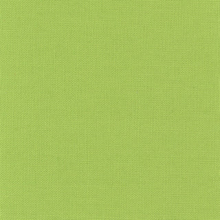 Made in Korea GOTS Certified Solid Organic Cotton Plain Woven DS215R1