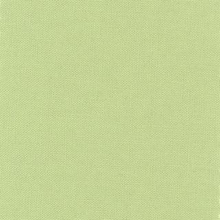 Made in Korea GOTS Certified Solid Organic Cotton Plain Woven DS215R1