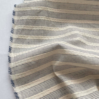 Korean Fashion Designer Stripes Blue Non-Stretch Cotton Dobby Jacquard DS16543