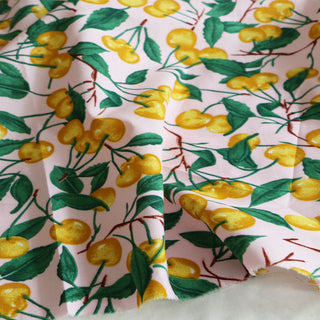 Japanese Fashion Designer Fruits and Vegetables Pink Non-Stretch Cotton Plain Woven DS16659