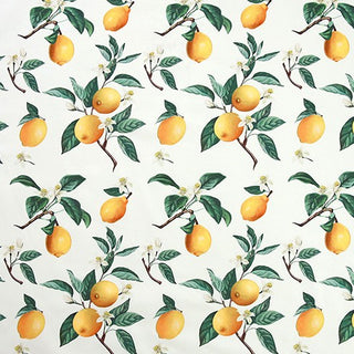 Made in Korea COTTONVILL Fruits and Vegetables White/Multi Color Non-Stretch Cotton Plain Woven DS21501