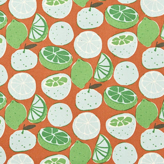 Yardblox Exclusive Made in Japan HOKKOH Fruits and Vegetables Green Non-Stretch Cotton Oxford Canvas DS21504