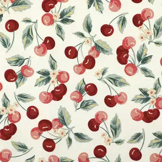 Yardblox Exclusive Made in Korea Dailylike Fruits and Vegetables Off-White Non-Stretch Cotton Oxford Canvas DS21510