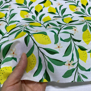 Japanese Fashion Designer Fruits and Vegetables White Non-Stretch Combed Cotton Broadcloth Poplin DS28618