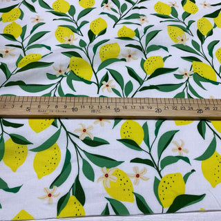 Japanese Fashion Designer Fruits and Vegetables White Non-Stretch Combed Cotton Broadcloth Poplin DS28618