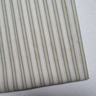 Stripes Cotton Plain Woven RT01527