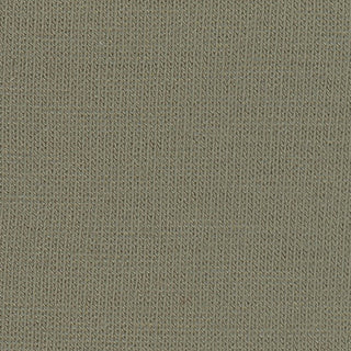 Solid Stretch Tencel™ / Lyocell Jersey S006512