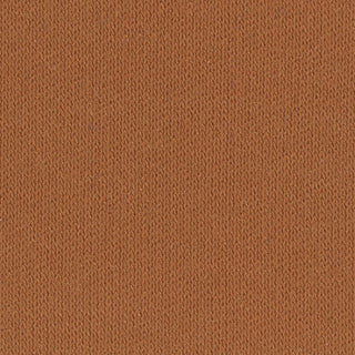 Solid Stretch Tencel™ / Lyocell RPET / Recycled Polyester Double Knit S006515