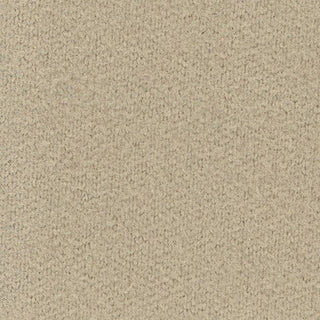 Solid Stretch Ultra Soft Back Peached Polyester Thermal Knit S006521