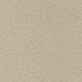 Solid Stretch Ultra Soft Back Peached Polyester Thermal Knit S006521