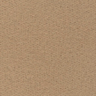 Solid Stretch Ultra Soft Back Peached Polyester Thermal Knit S006521