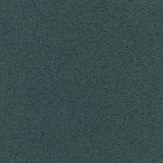 Solid Stretch Ultra Soft Back Peached Polyester Thermal Knit S006521