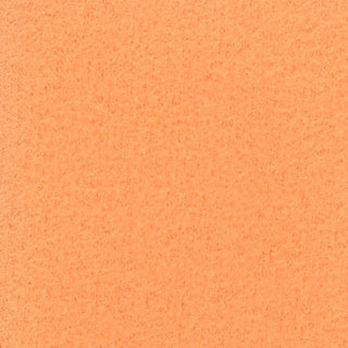 Solid Stretch Ultra Soft Back Peached Polyester Thermal Knit S006521