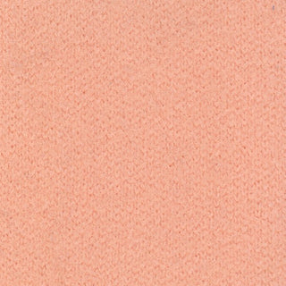 Solid Stretch Ultra Soft Back Peached Polyester Thermal Knit S006521