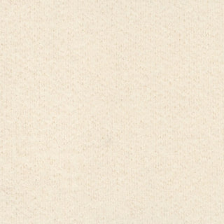 Solid Stretch Ultra Soft Back Peached Polyester Thermal Knit S006521