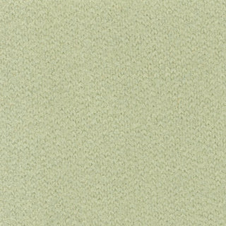 Solid Stretch Ultra Soft Back Peached Polyester Thermal Knit S006521