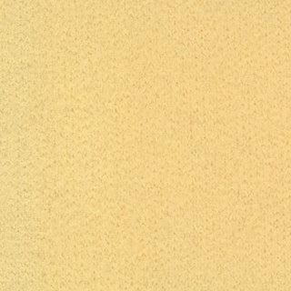 Solid Stretch Ultra Soft Back Peached Polyester Thermal Knit S006521