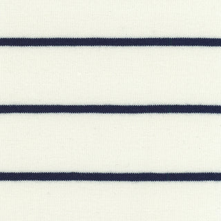 Stripes Stretch Lyocell Cotton Rib 1x1 S025501