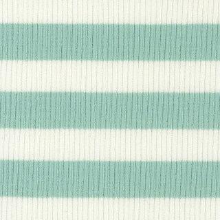 Stripes Stretch Lyocell Cotton Rib 2x2 S025506