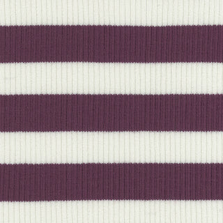 Stripes Stretch Lyocell Cotton Rib 2x2 S025506