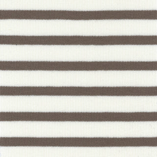 Stripes Stretch Lyocell Cotton Rib 1x1 S025509