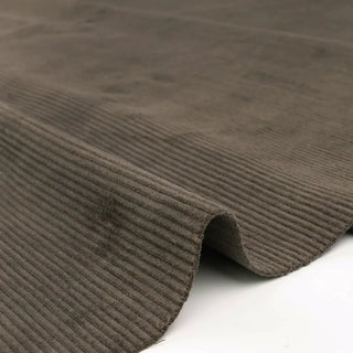 Made in Japan Solid Pima Cotton Standard Corduroy TB01503
