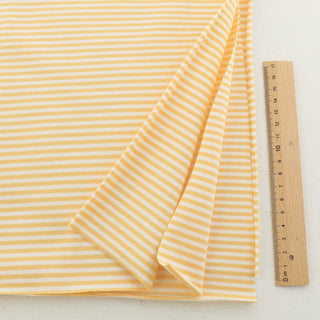 Stripes Combed Cotton Jersey TBSP601