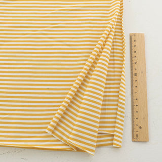 Stripes Combed Cotton Jersey TBSP601